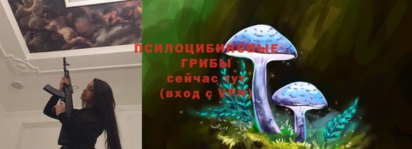 эйфоретик Новокубанск