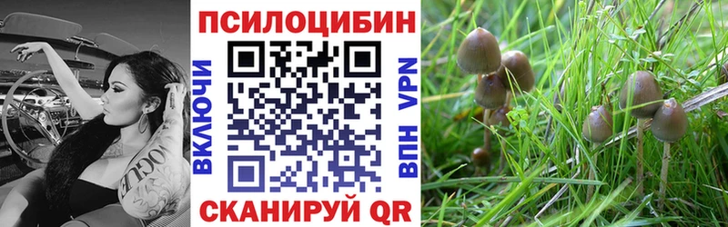 купить закладку  Заозёрный  KRAKEN онион  Псилоцибиновые грибы Psilocybine cubensis 