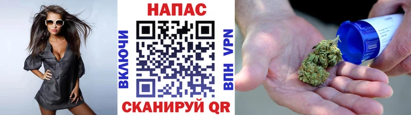 Бошки марихуана сатива  как найти закладки  Заозёрный 